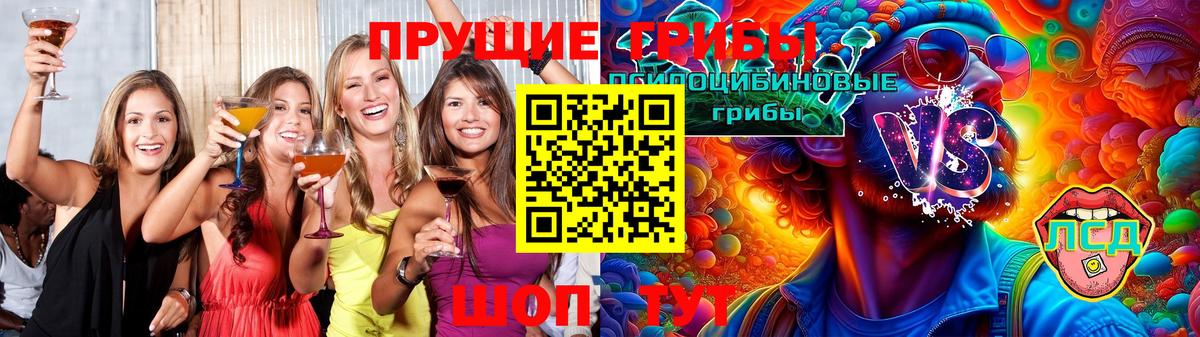 Псилоцибиновые грибы Psilocybine cubensis Благодарный
