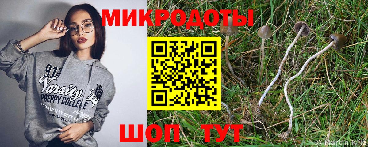 Псилоцибиновые грибы Cubensis  Вход с VPN  Благодарный 